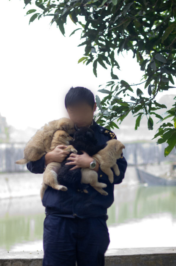 海关属于什么企业,中国海关是公务员还是事业编制