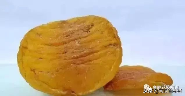 涨知识!鱼胶种类大全,不看亏大了!