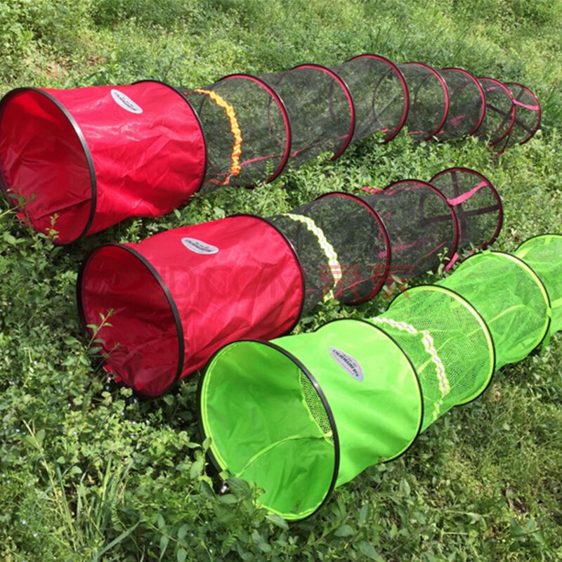 新手钓鱼入门基本知识零基础,新手学习钓鱼入门基本知识