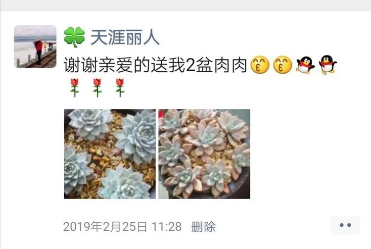 养多肉一年花了3万,养多肉一千多盆