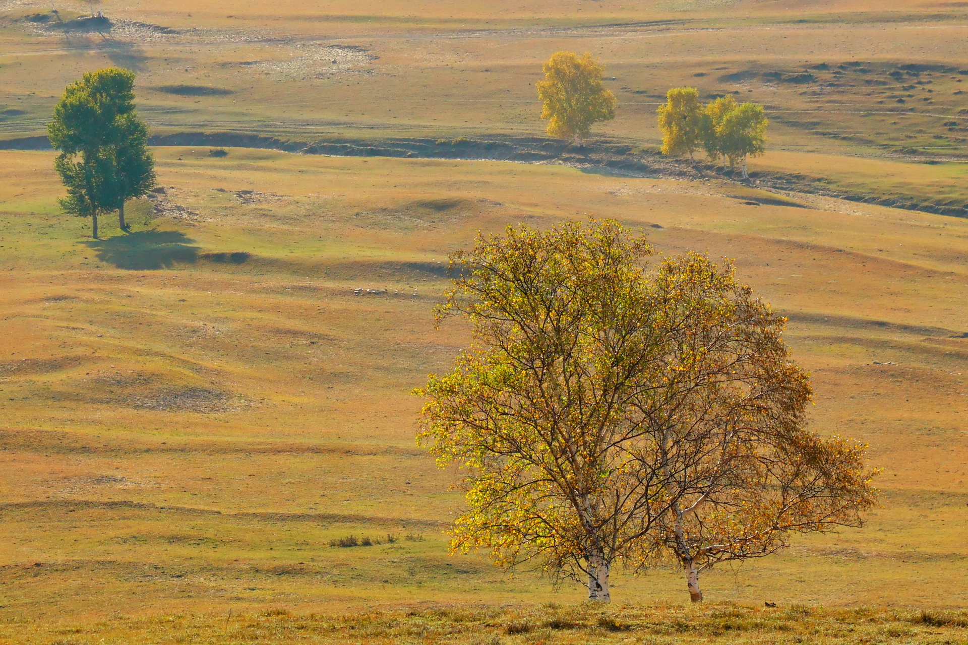 京北第一天路千松坝国家森林公园,千松坝森林公园和京北第一天路