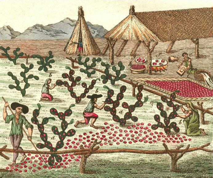 为女人献身的虫子，身价堪比黄金？只为在唇齿上留下一抹香艳