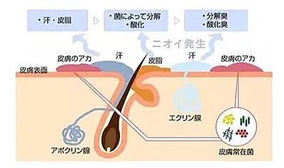 优衣库黑科技短袖,优衣库蒸汽黑科技