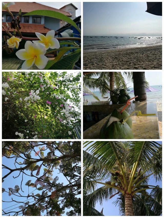 漫游记越南,越南十五天之旅