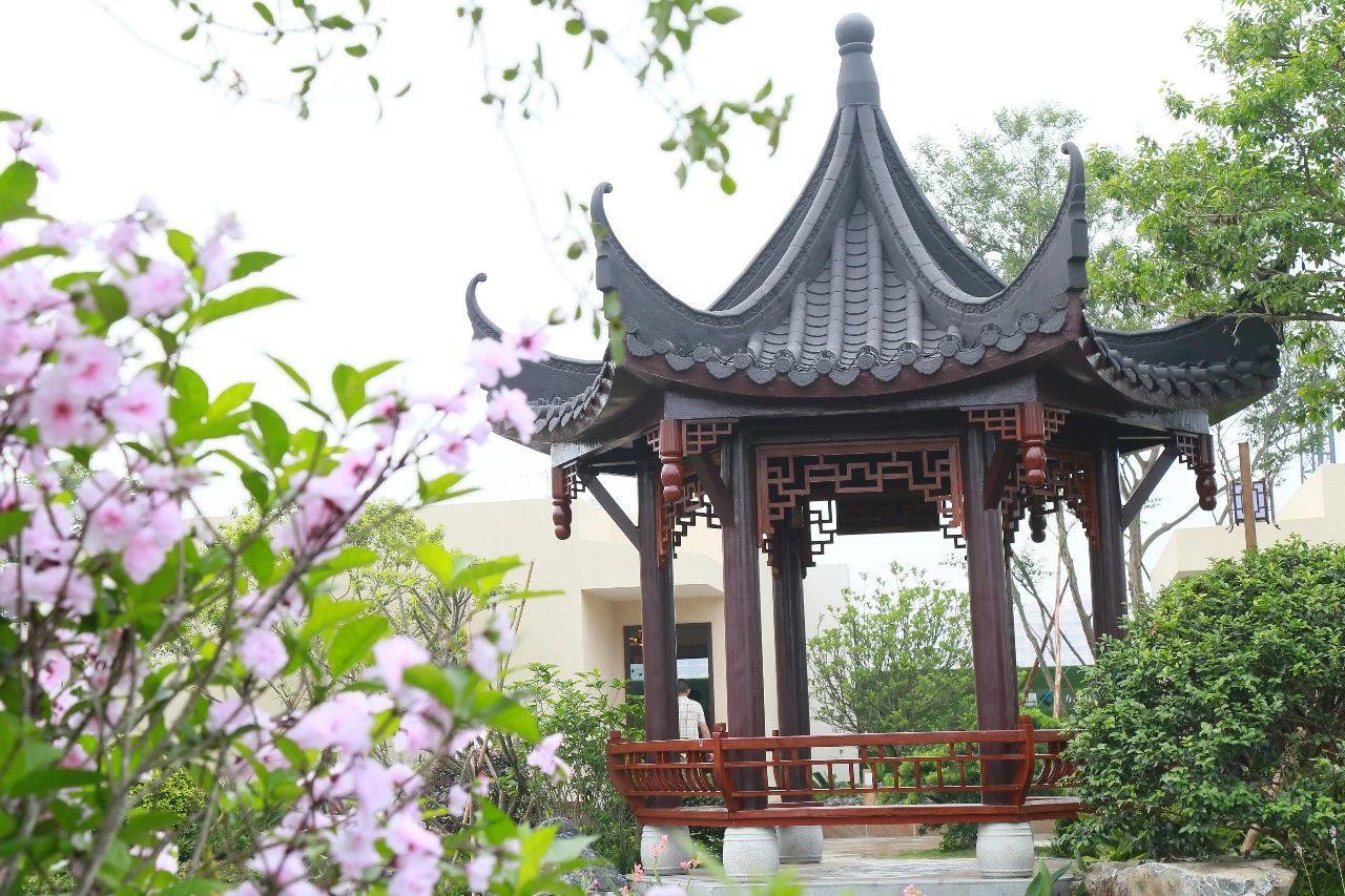 在江门买房，到底怎么买？买哪里？别急，4大数据告诉你