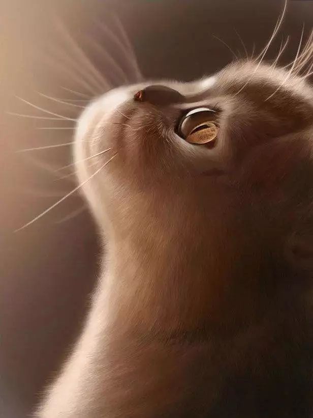 躲避电子眼抓拍如何提前告知,这几种行为可以躲避抓拍