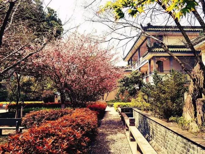 昆山地区十强中学,昆山市排名前十的中学有哪些