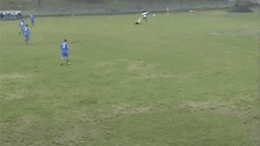 搞笑gif段子实在是猝不及防啊,搞笑gif段子狗都流口水了