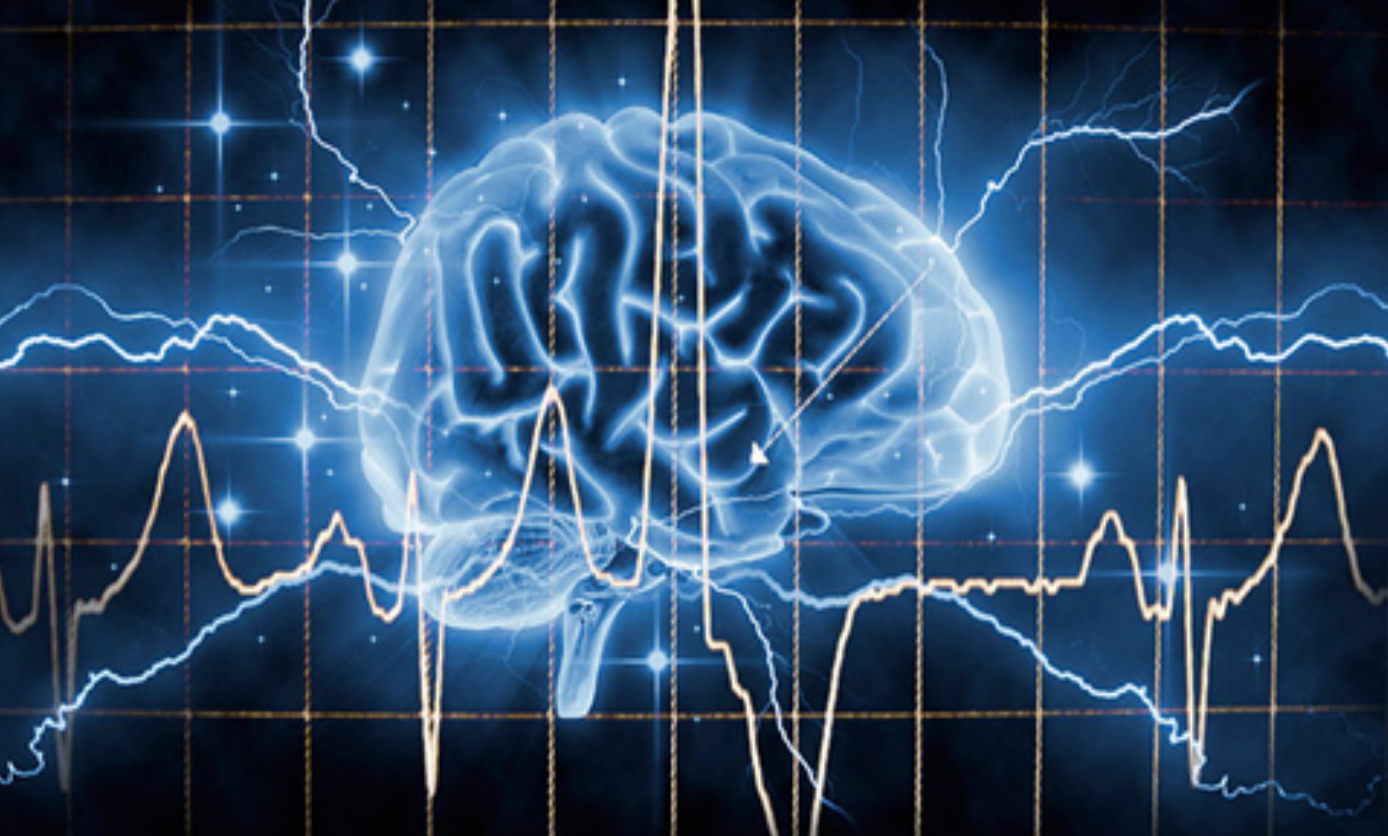 如果人类大脑开发到100有多强,大脑开发到100%人类会进化成神吗