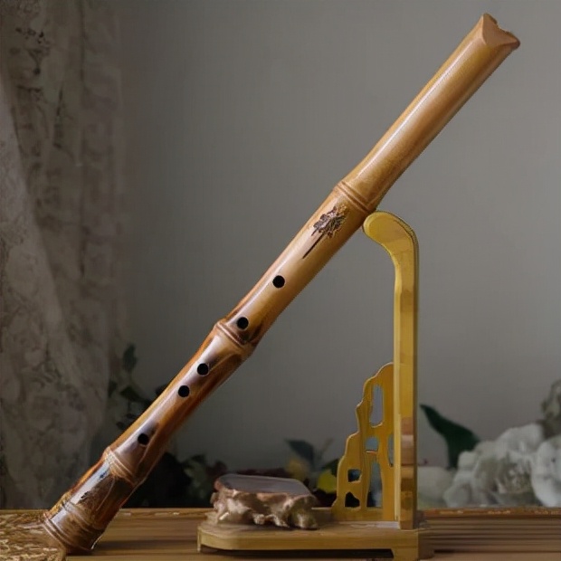 成年人最好学的乐器,什么乐器好学又便宜