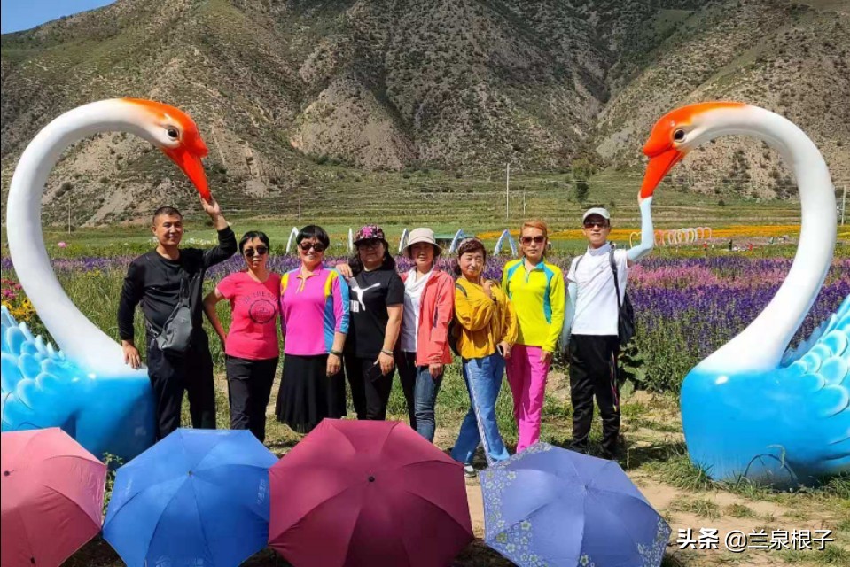 夏河县达尔宗湖景区电话,夏河县达尔宗湖游玩攻略