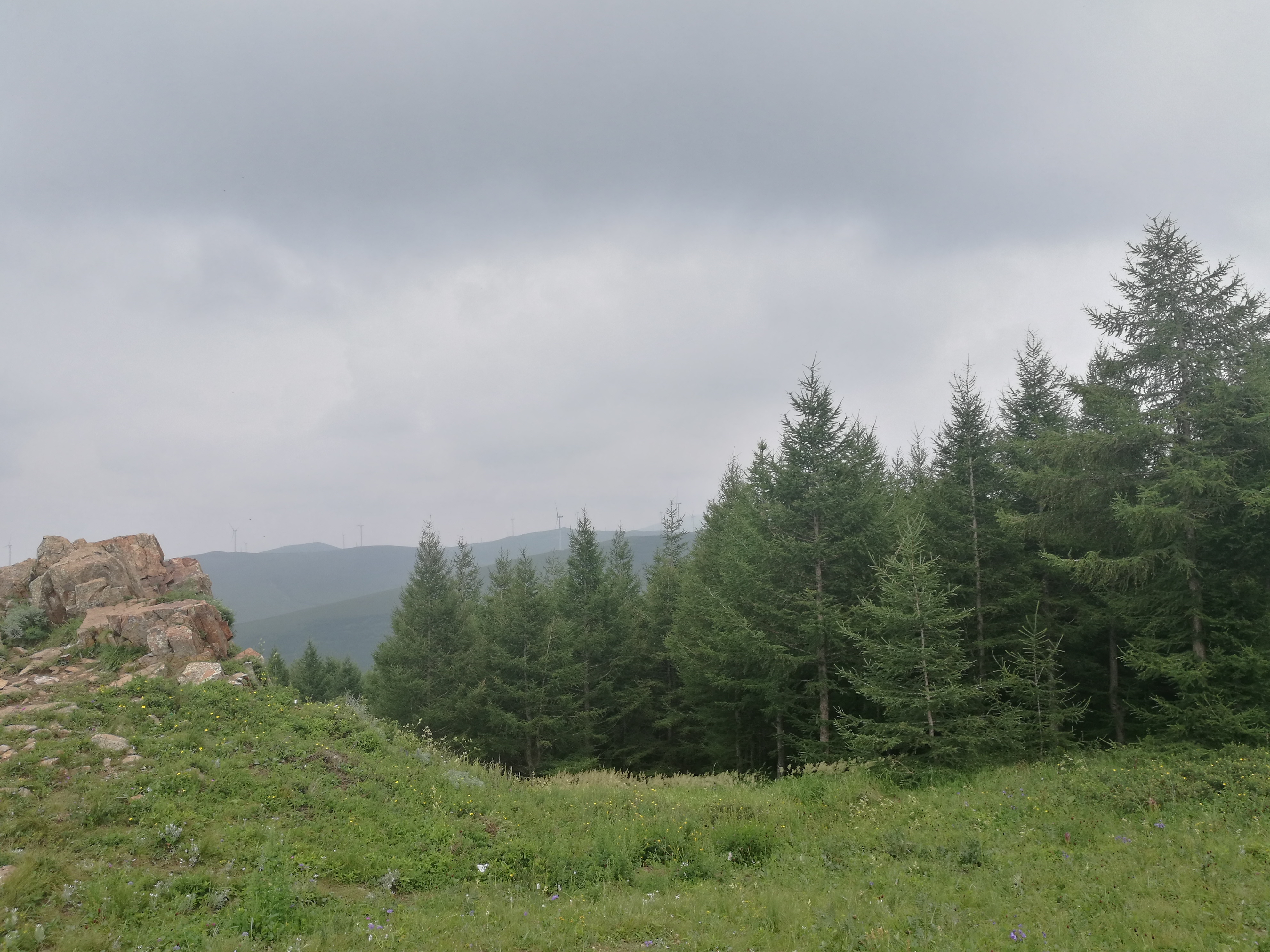 消费心理学预期消费和实际消费,消费心理学和心理学