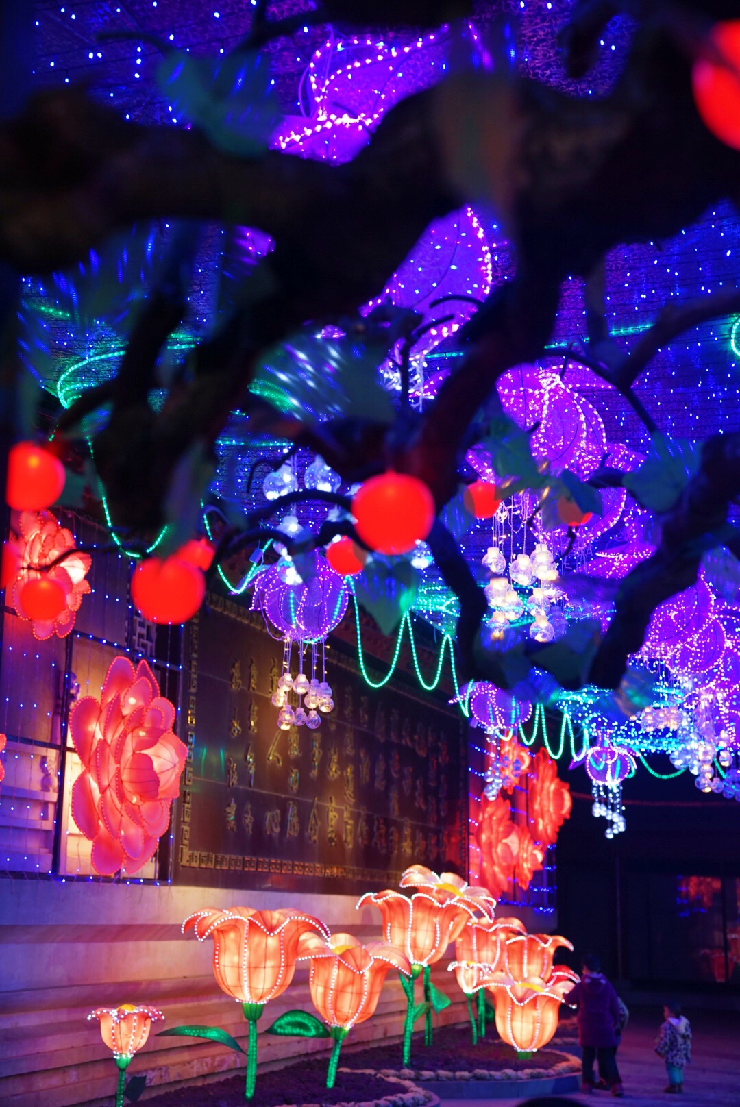 天波杨府灯会完整版,天波杨府上元灯会和普通门票