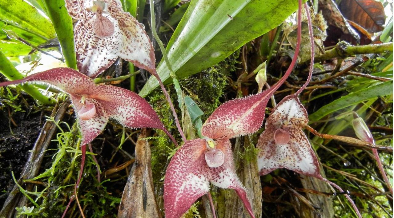 拜登谈美国大选最新视频,拜登谈2014年美国大选