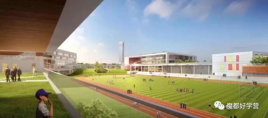 2020上海新开学校,上海新招生大学