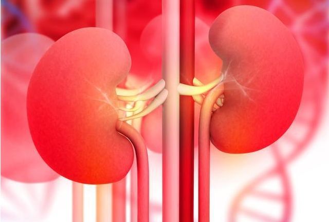 出现血尿就真的患了肾脏疾病吗?