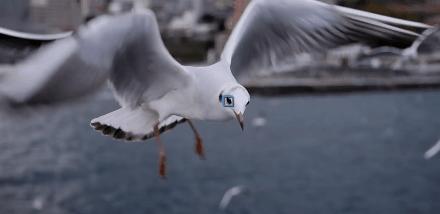 不吹不黑评测视频,不吹不黑测评