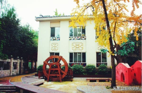 金牛区教育不咋行，老牌名校已没落？幼儿园到高中怎么选？