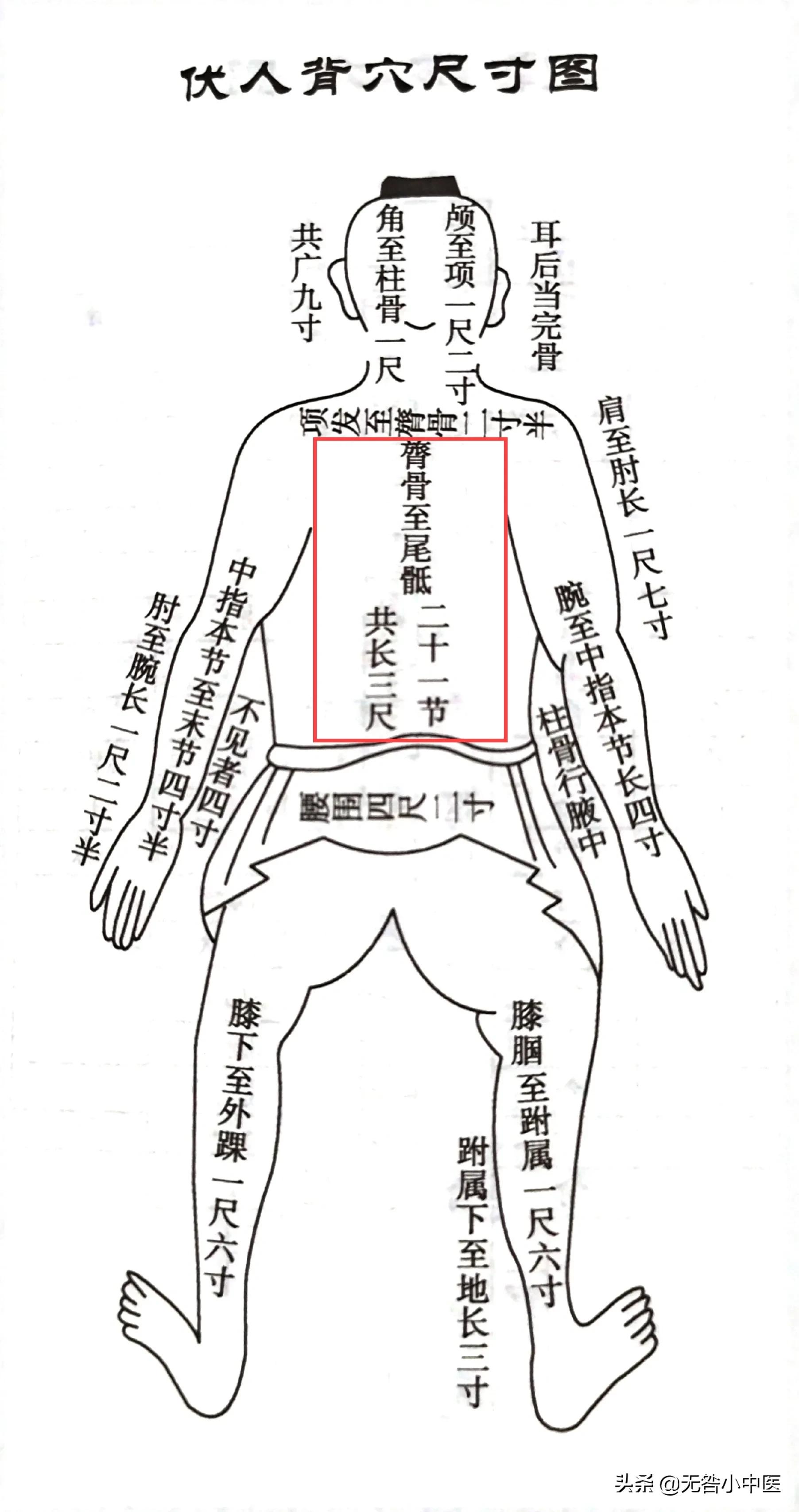 「针灸」7.脊中（督脉）