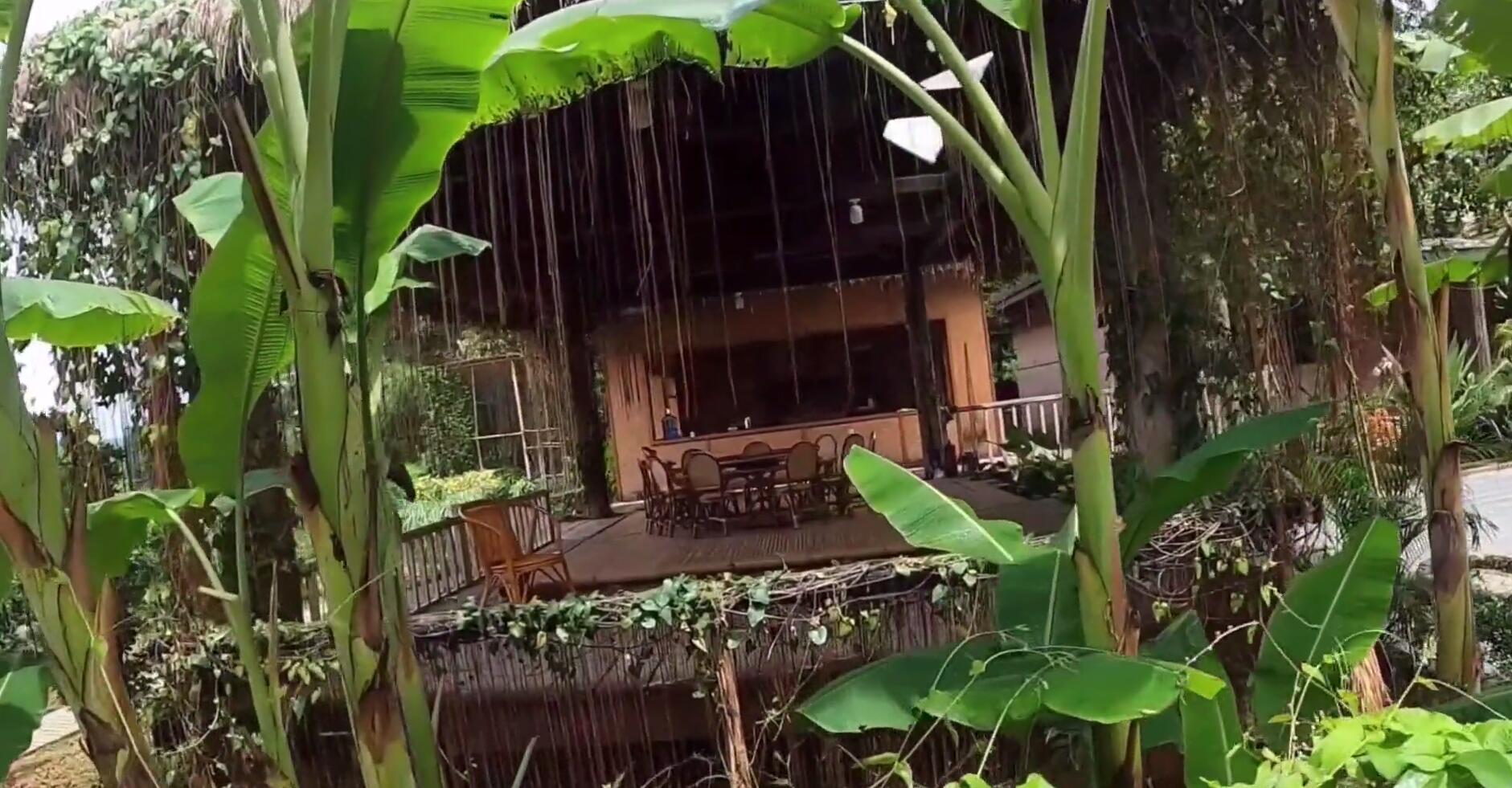 西双版纳热带雨林导游,西双版纳热带雨林谷导游