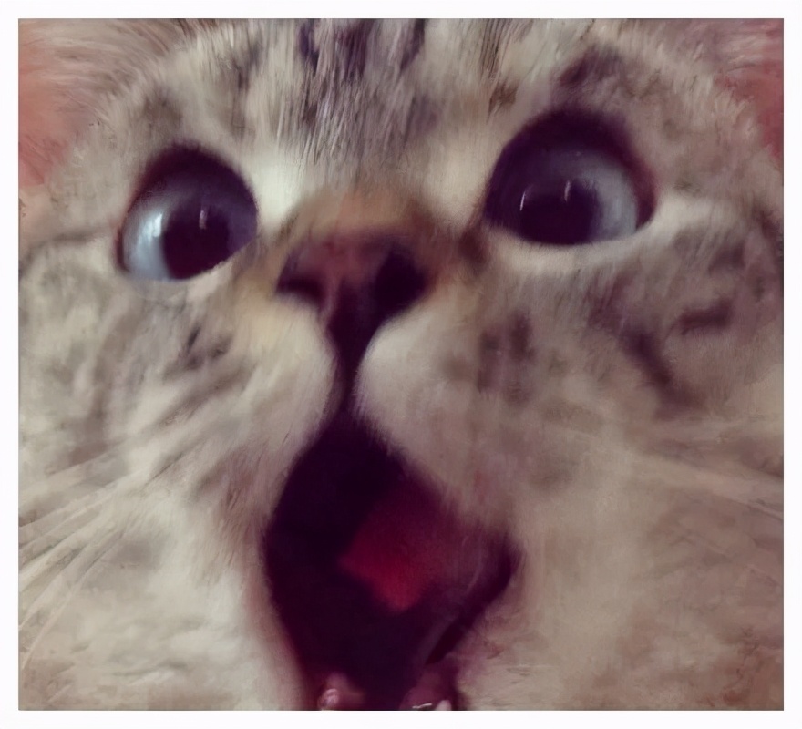 新冠肺炎和肠道菌群的关系,新冠肺炎患者肠道菌群