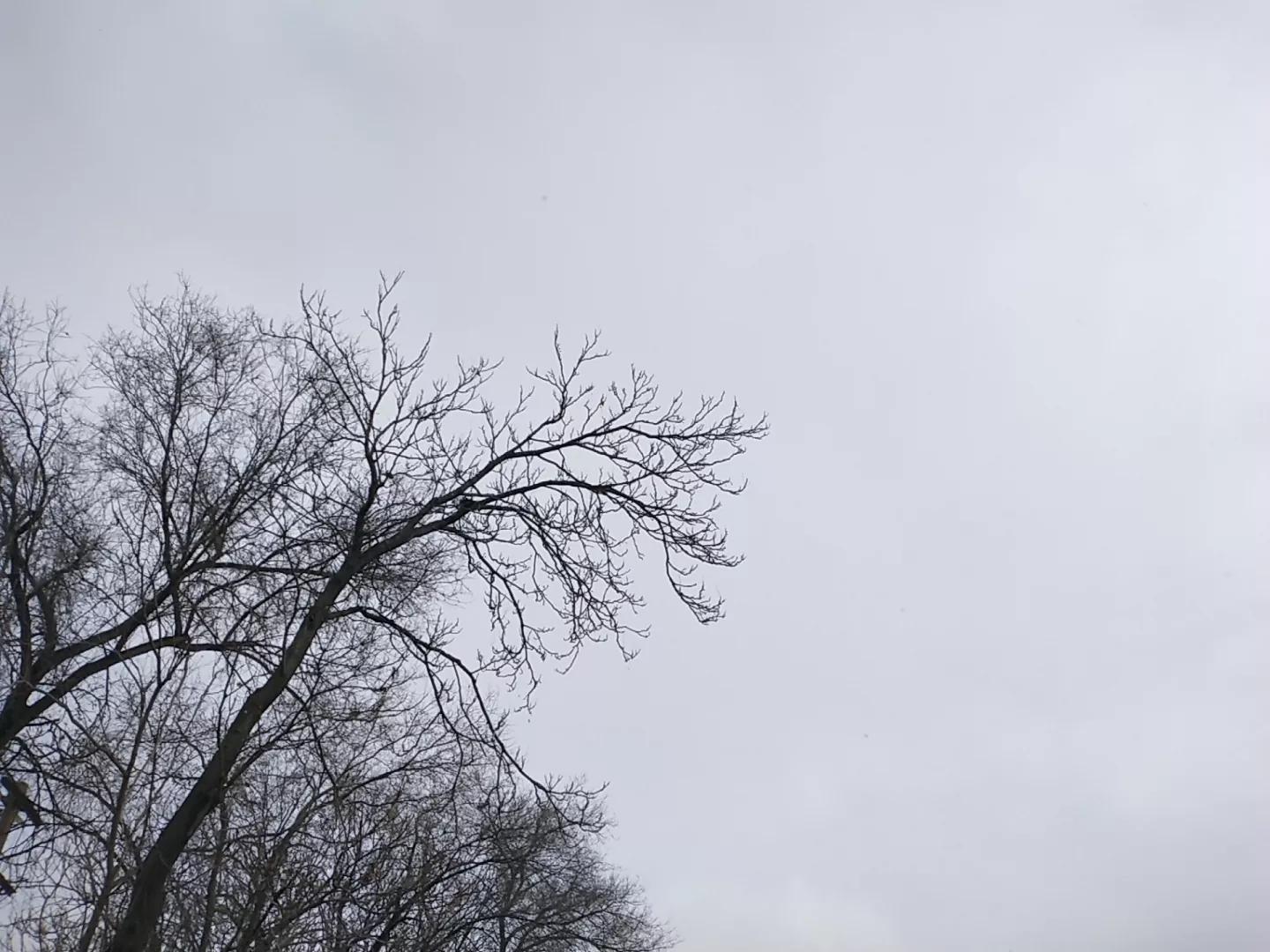 数九寒天顺口溜,俗语中怎样说数九寒天的