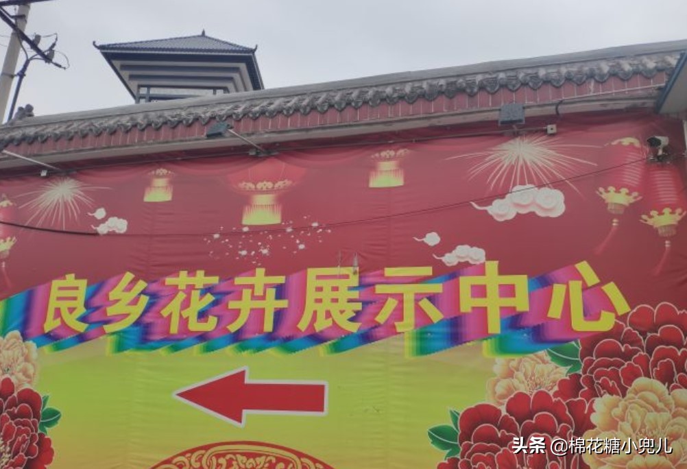 北京盆栽花卉批发市场,北京众兴花卉批发市场
