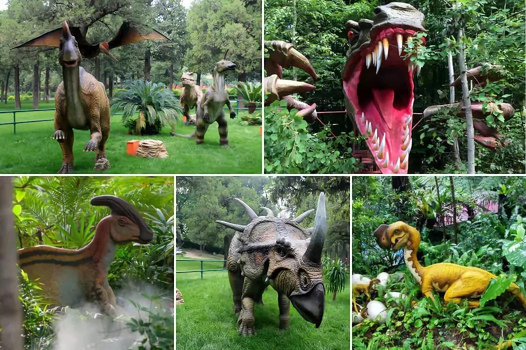 东南花都花博园全新升级鹿岛公园,东南花都花博园导览图