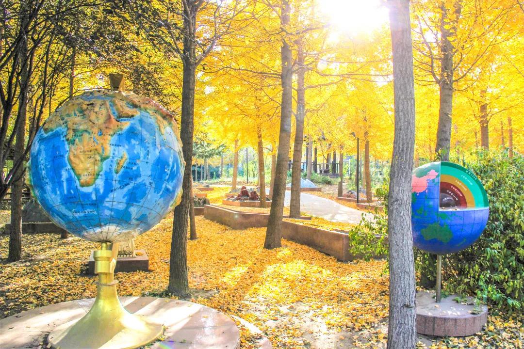 家门口的好学校潍坊恒德实验学校,潍坊恒德实验学校教学质量