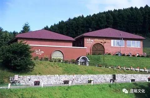 北海道葡萄酒兑什么好喝,北海道葡萄酒