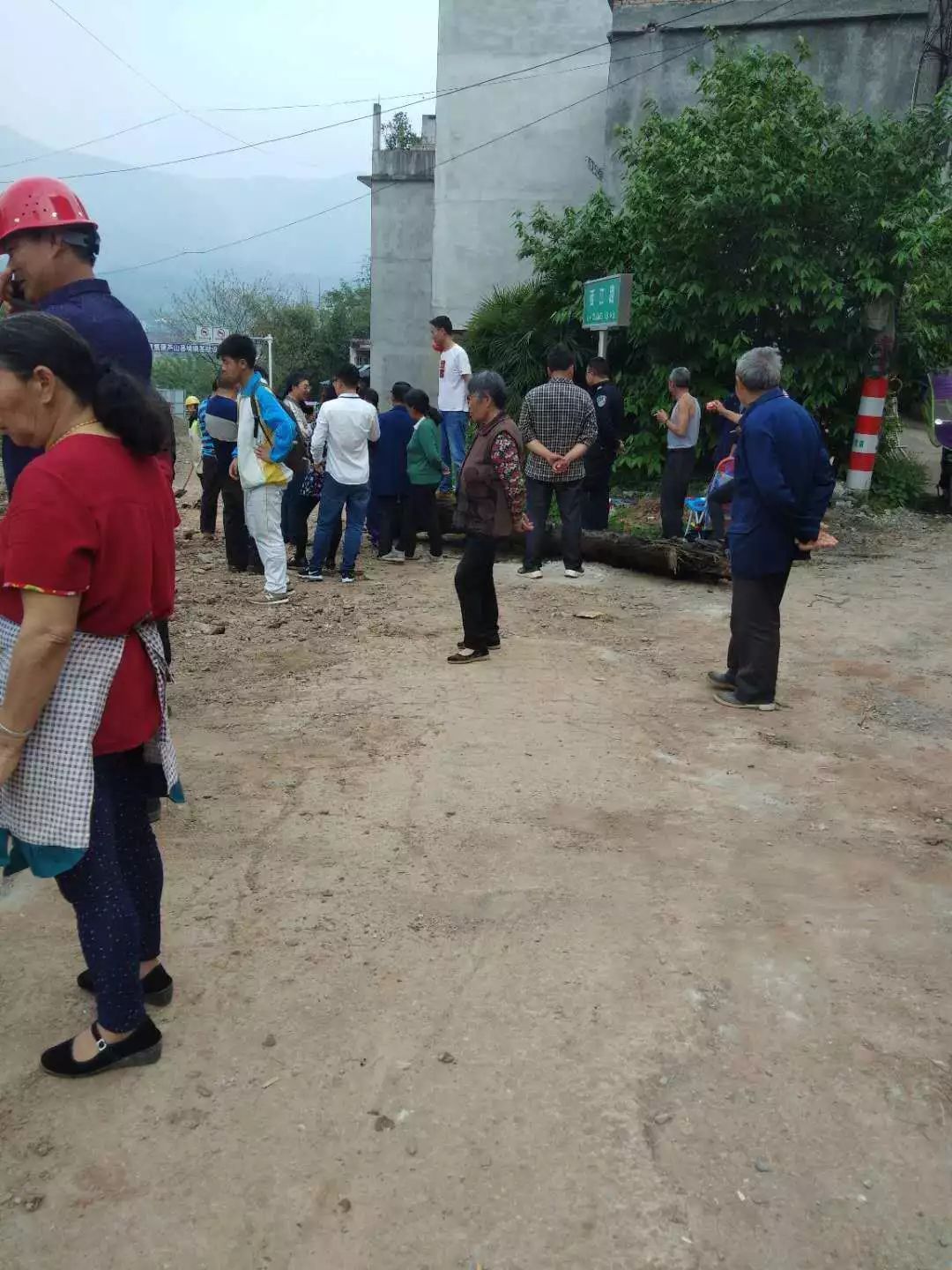 芦山挖出金丝楠乌木,成都挖出的乌木