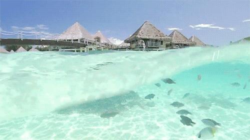 免签以后也要准备回程的机票吗,免签30天可以去几次