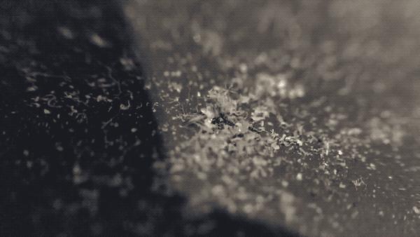 苹果macbookpro蝶式键盘,2019款macbookpro蝶式键盘弊端