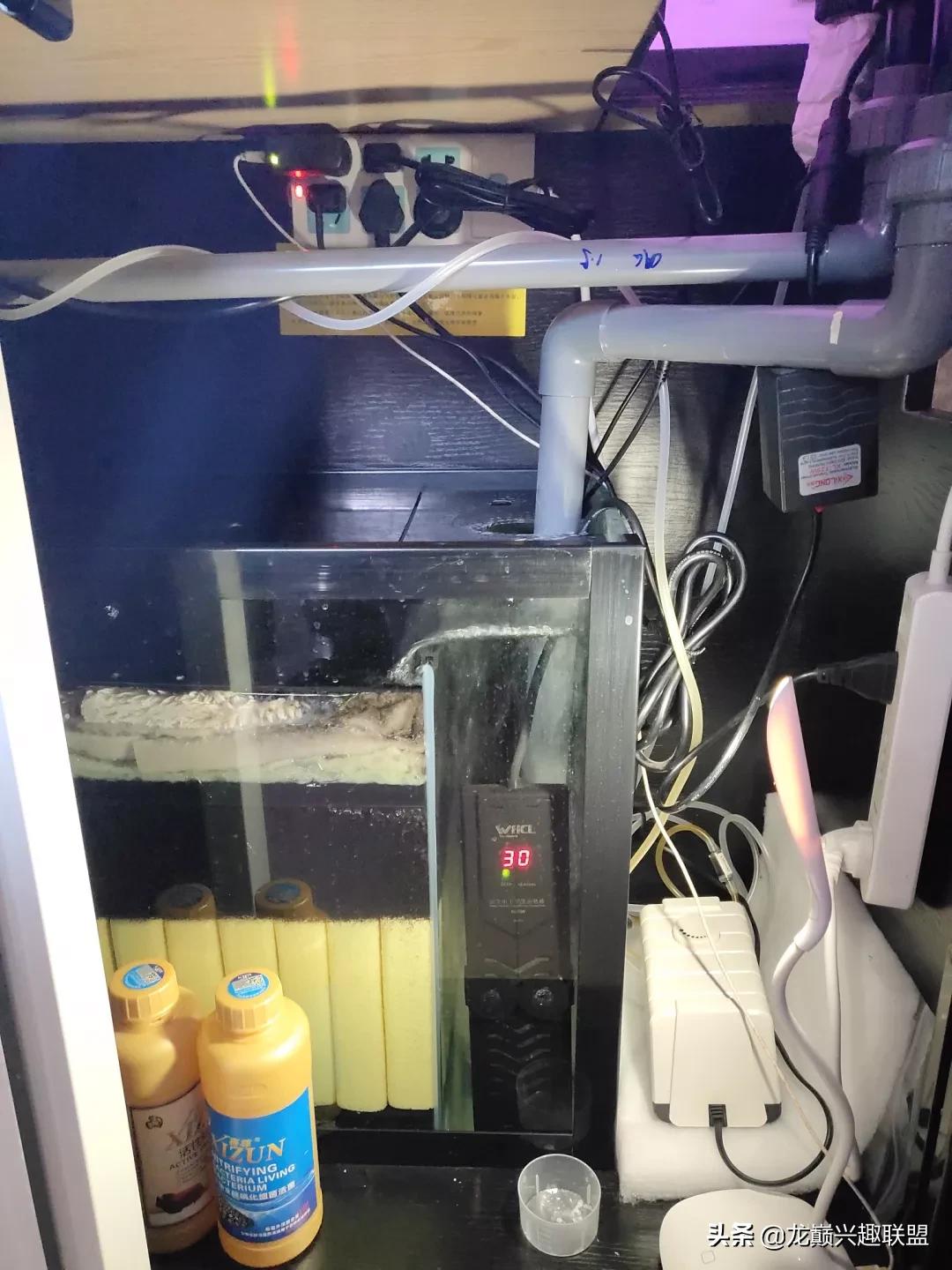 可丽爱老款侧滤鱼缸过滤系统改造,老款可丽爱底滤鱼缸安装教程