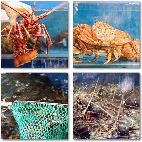 千万不能带女朋友来的店,千万不要带女朋友去超市