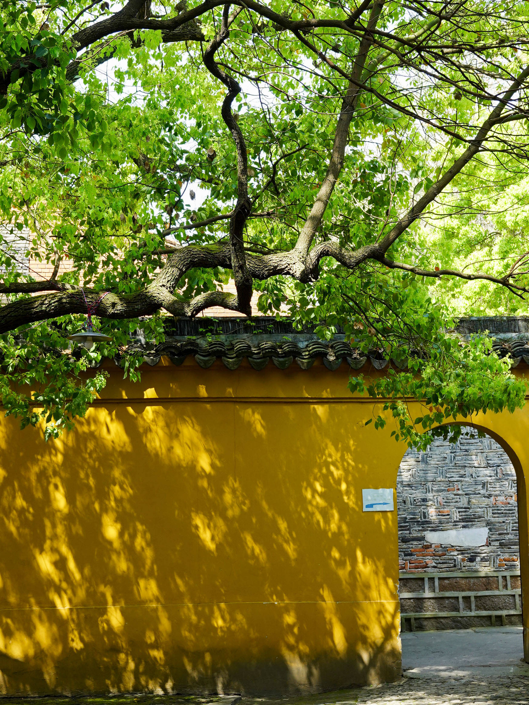 鑻忓窞鏃呮父灏忎紬鏃呮父鏀荤暐,鑻忓窞鏃呮父鏀荤暐灏忎紬鏅偣鎺ㄨ崘