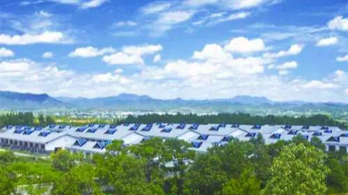 江西正邦集团有限公司怎么样,江西正邦集团有限公司