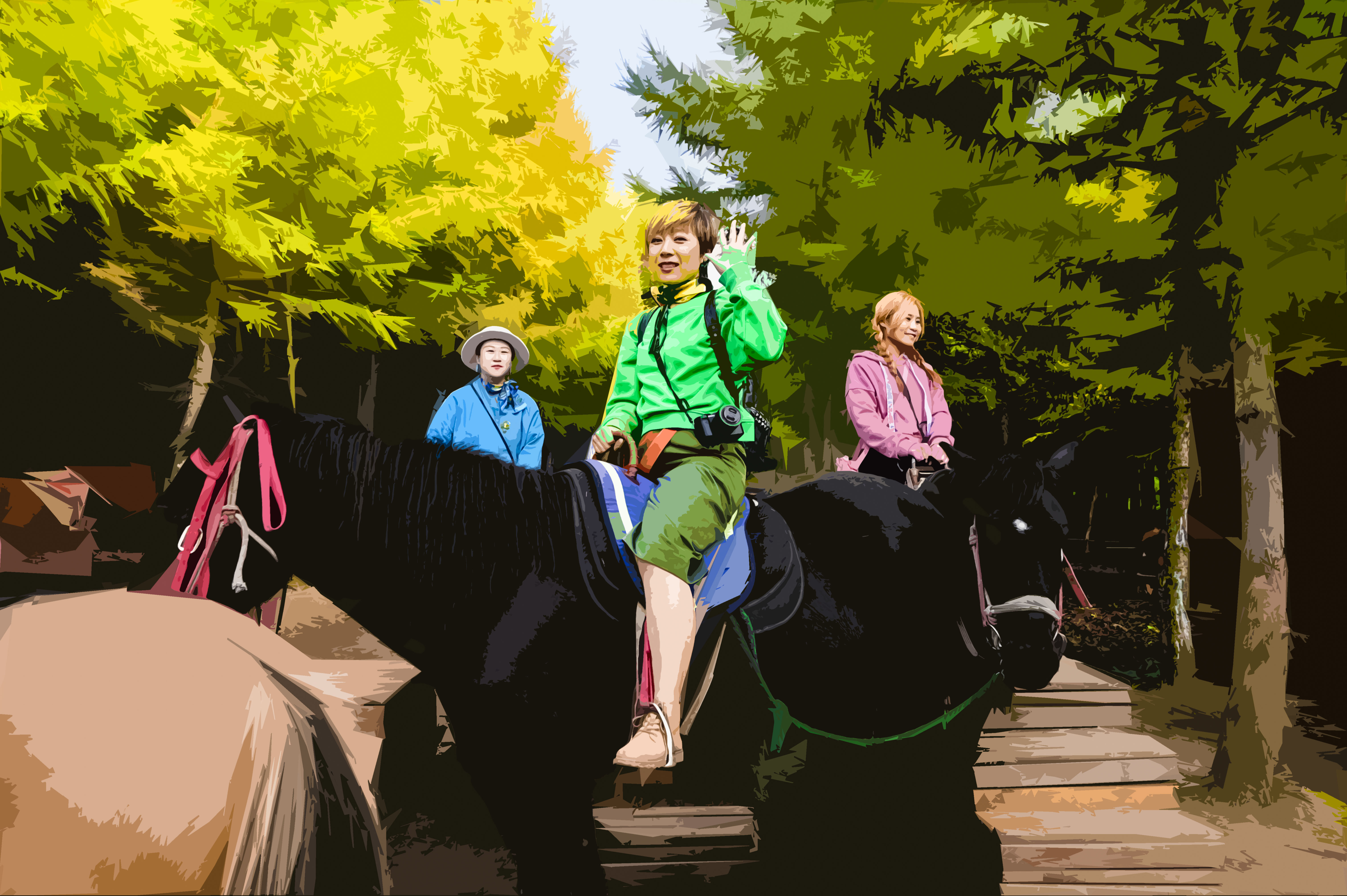 丰宁神仙谷七彩森林景区地图,丰宁坝上七彩森林游玩攻略