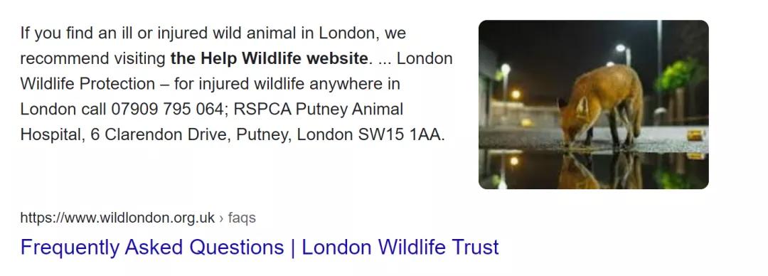 今年如何去英国读书 (来英国读书才知道的事)