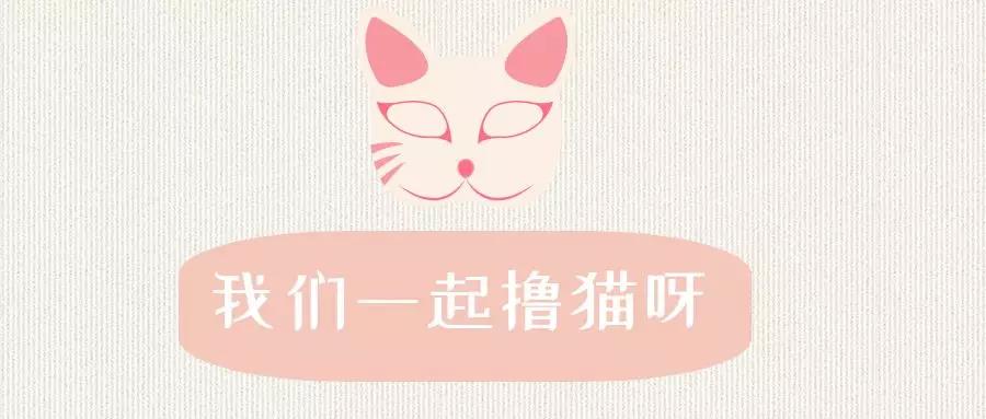 litterrobot鍏ㄨ嚜鍔ㄧ尗鍘曟墍,缇庡浗litterrobot鍏ㄨ嚜鍔ㄧ尗鍘曟墍