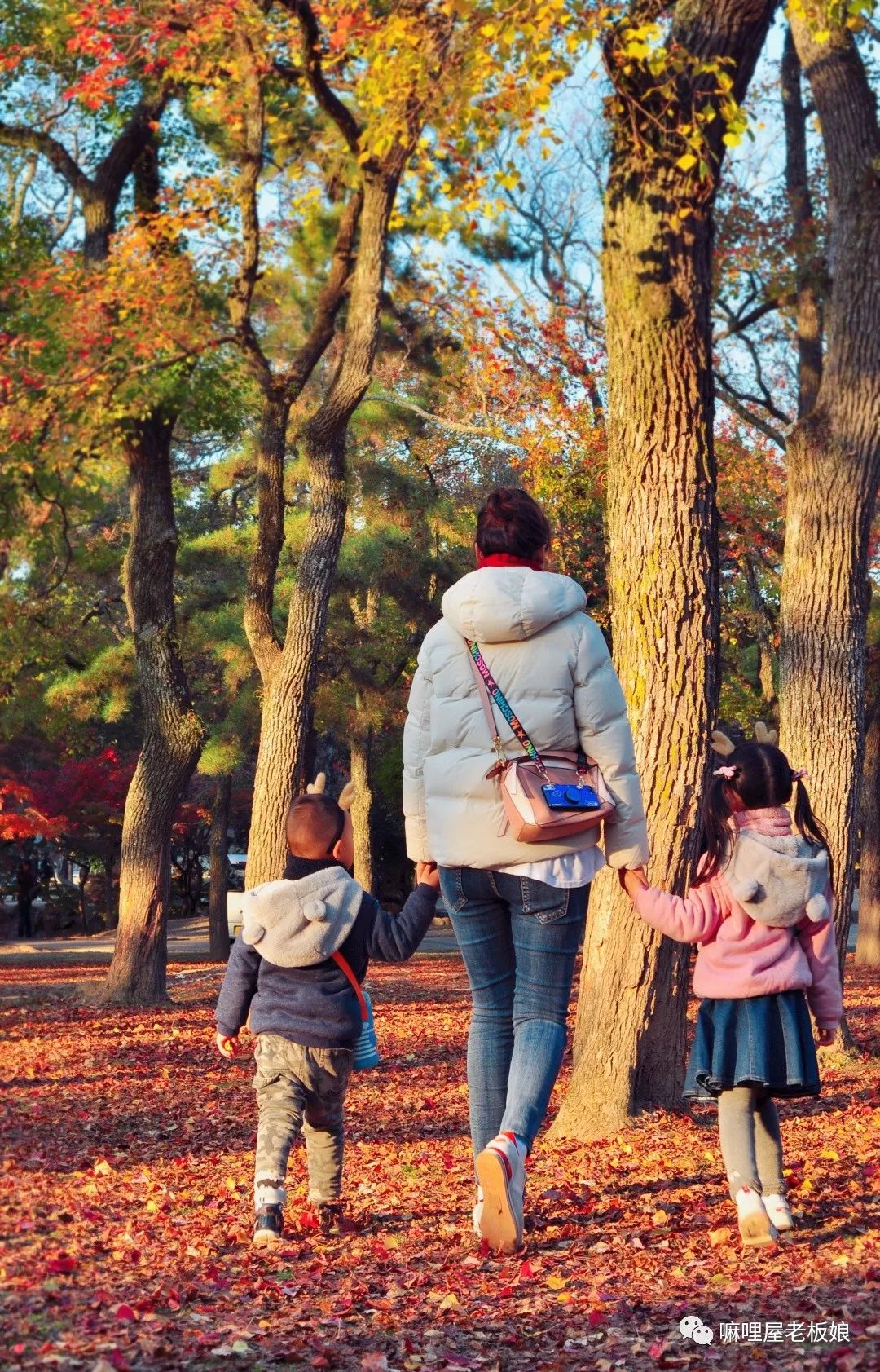 京都和大阪地理位置,京都奈良大阪位置