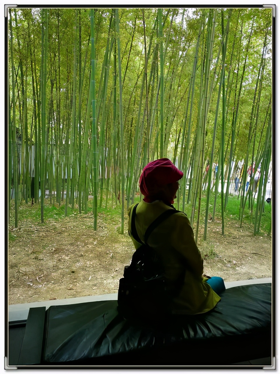 建筑大师贝聿铭的家,致敬建筑大师贝聿铭