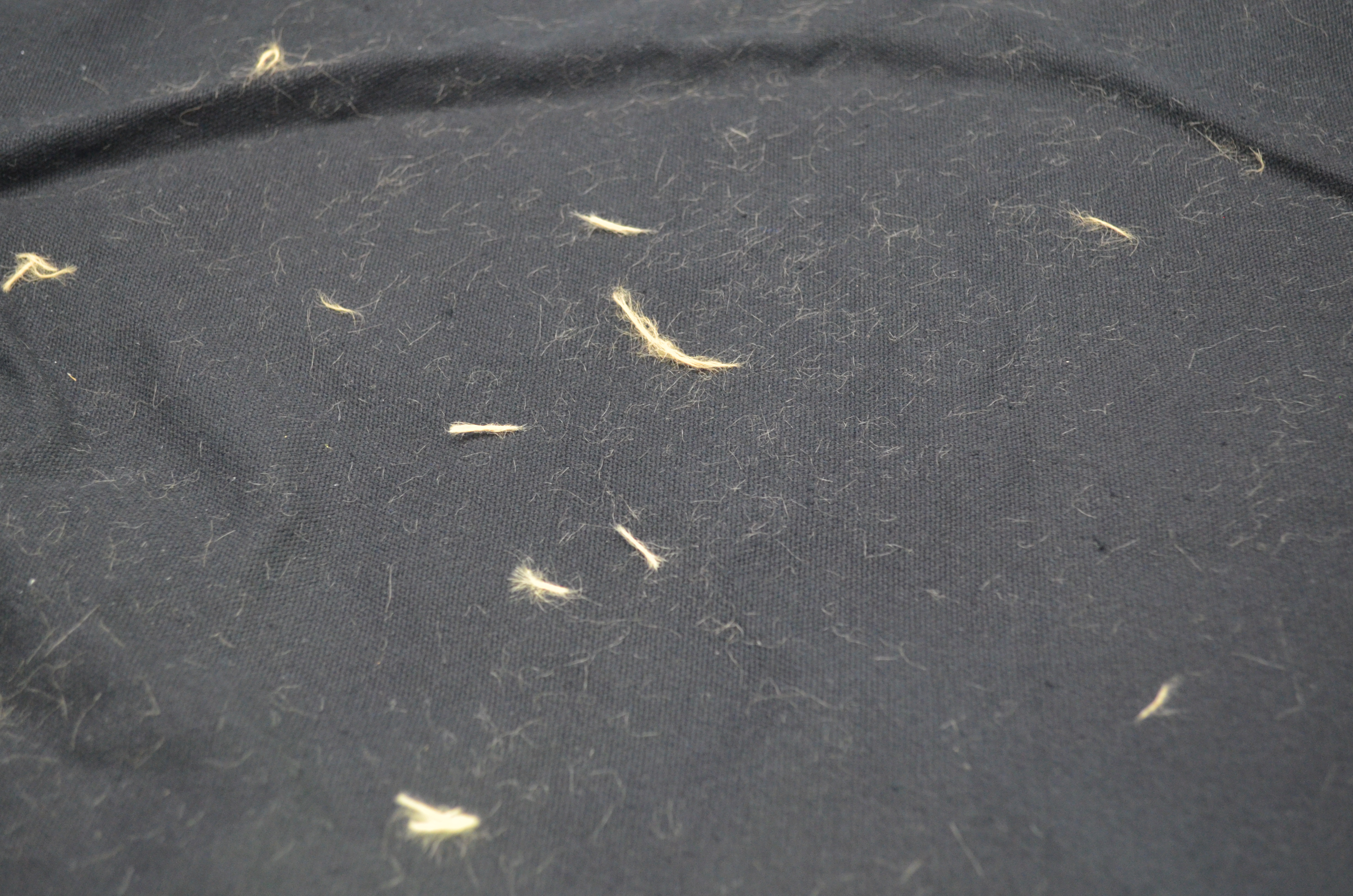 衣服混洗沾满毛絮怎么去除,衣服洗完粘毛了处理小妙招