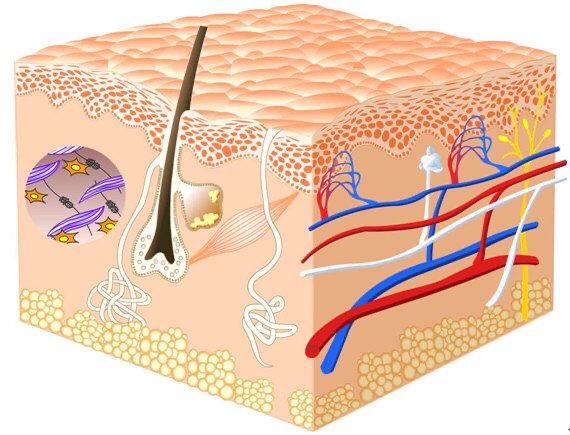 肌底液和精华有什么区别?很多女生分不清楚,别再稀里糊涂啦