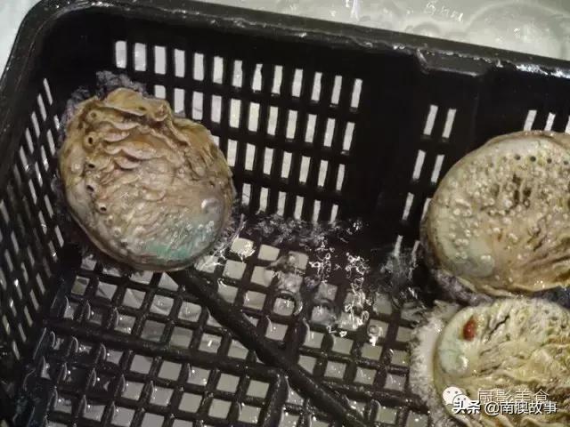 水煮贝壳类海鲜煮多久,海边海鲜用什么水煮好吃