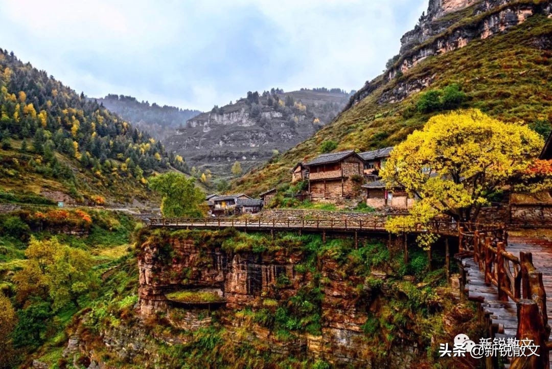 山西宁武芦芽山,山西宁武芦芽山景区
