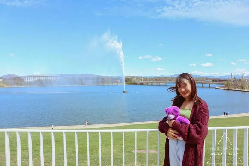 澳洲|春意堪培拉,看袋鼠、品酒、赏花、住进动物的家