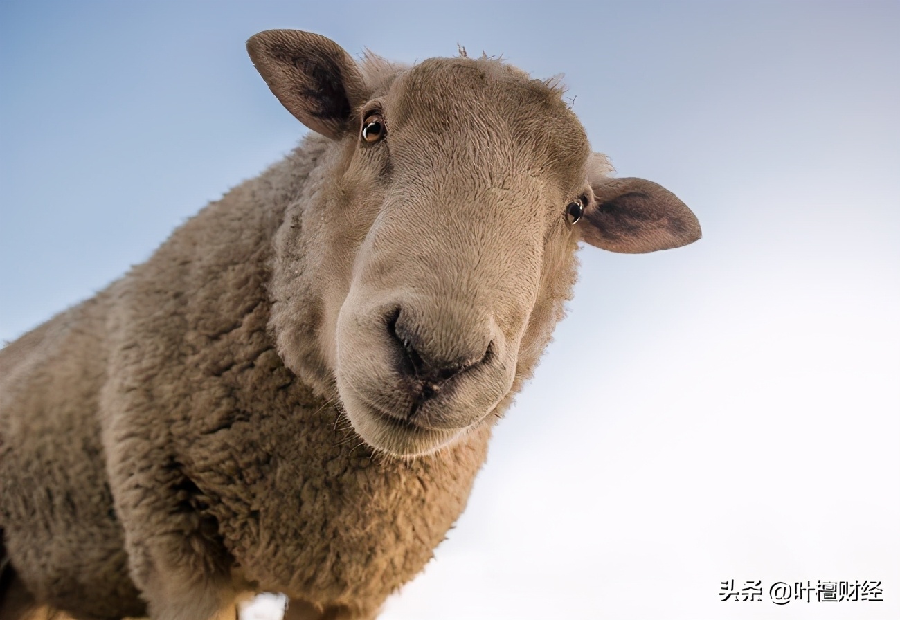 定投加仓和比例加仓,基金定投遇到大跌需要补仓吗