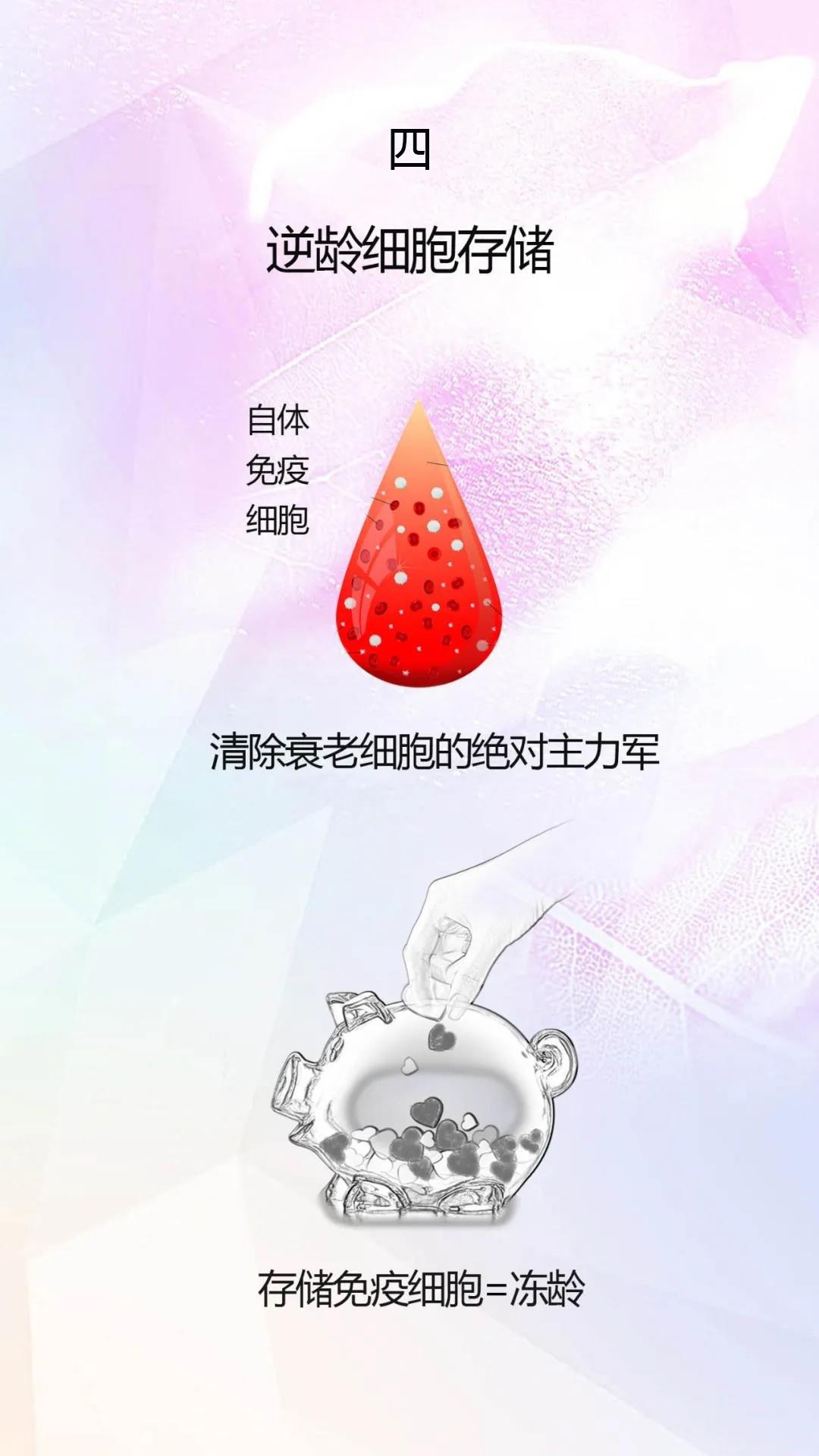 德洋健康,德洋健康养生视频