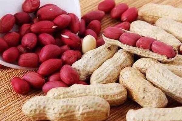 吉林松原特产或小吃,松原特产必买清单